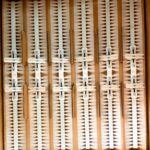 Purifier Brush 4